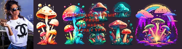 гидропоника Осташков